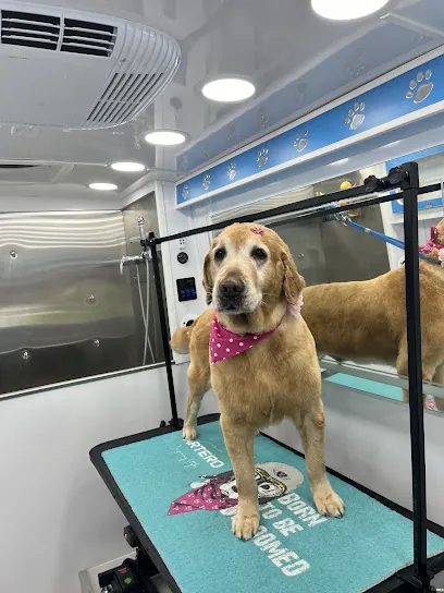 Master Mobile Pet grooming — photo from their website