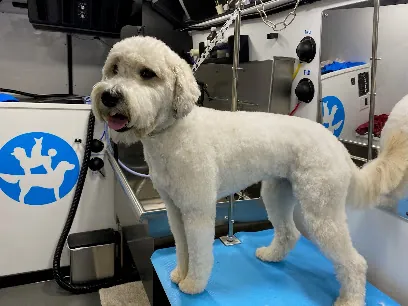 Petpura Mobile Pet Grooming — photo from their website