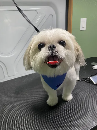 Oreo and Friends Mobile Grooming — photo from their website