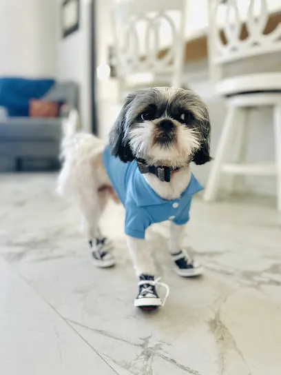 LOL Mobile Groomer — photo from their website