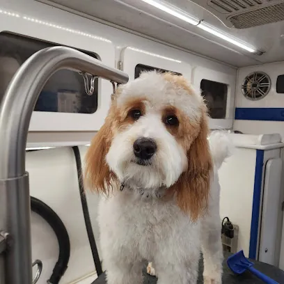 Howllywood Mobile Dog Groomer — photo from their website