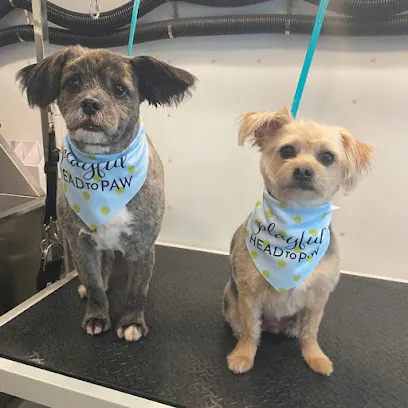 Head to Paw Mobile Spa — photo from their website