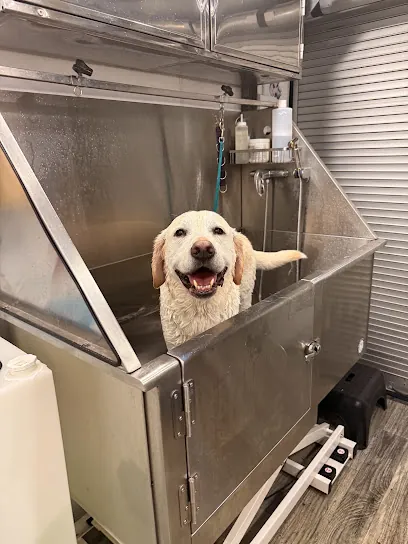 Flying Fur Mobile Pet Grooming LLC — photo from their website