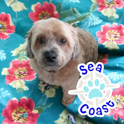 Sea Coast Mobile Pet Grooming — photo from their website