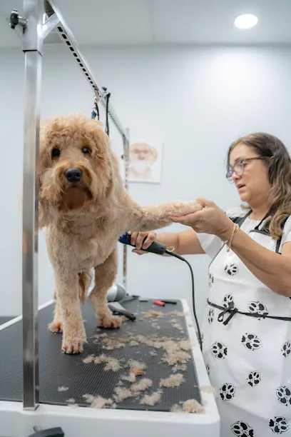4pets Grooming Services — photo from their website