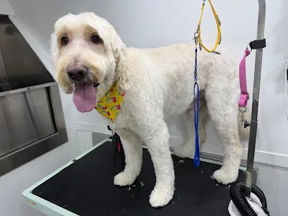 Mandys Mobile Groomit — photo from their website