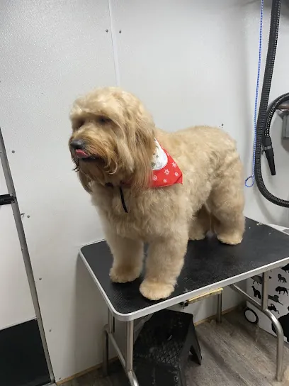 Trow Ranch Mobile Pet Grooming — photo from their website