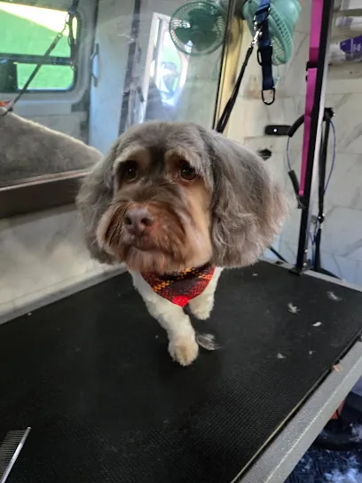 Daisy's Nails & Tails Mobile Pet Grooming — photo from their website