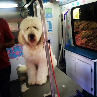 Outlet Mobile Pet Grooming — photo from their website