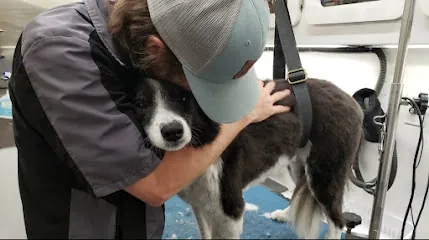 Winston's Mobile Grooming — photo from their website