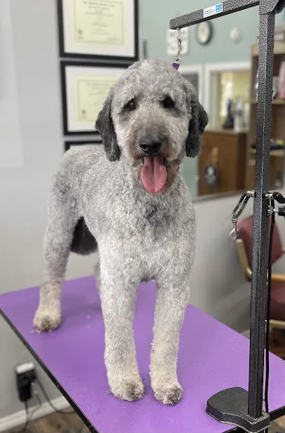 Lulu's Paws and Claws Mobile Grooming — photo from their website