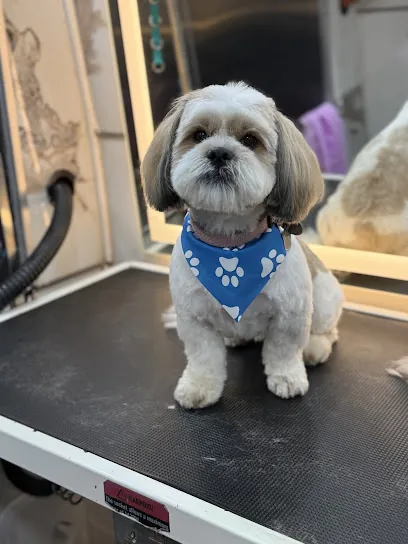 Pet Empire Mobile Pet Grooming — photo from their website