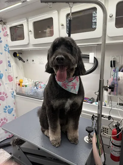 DapperTails Mobile Pet Grooming of Queens — photo from their website