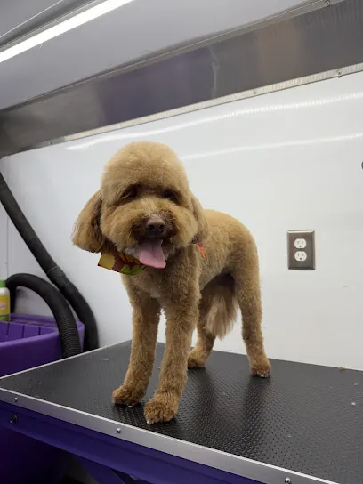 TailsRus mobile Pet Grooming. — photo from their website