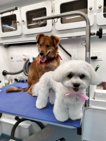 Geovana's Mobile Pet Spa — photo from their website