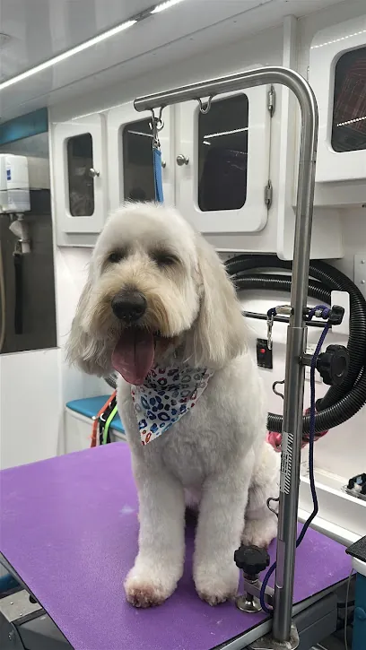 Hot Dog Grooming Mobile Spaw — photo from their website