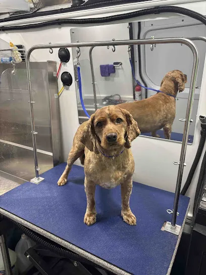 Barkbus Mobile Dog Grooming Napa & Solano — photo from their website