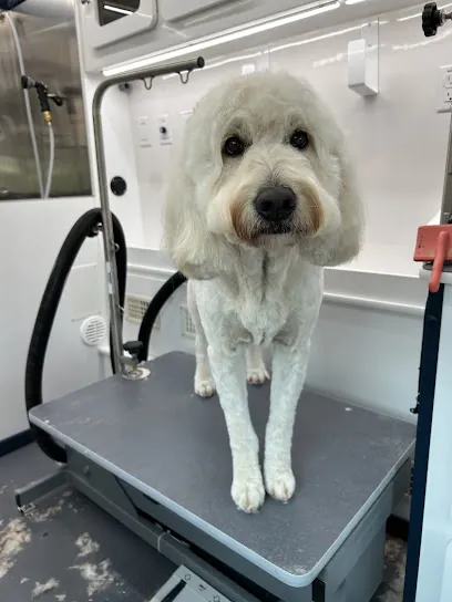 Plush Pets LLC — photo from their website