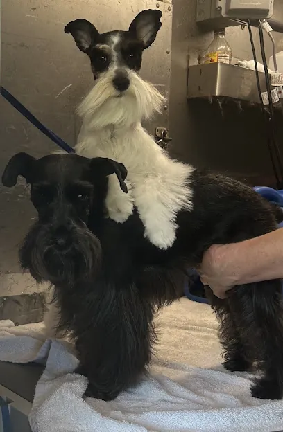 Albritton Quick Clips Mobile Pet Grooming pawsTHRIVE — photo from their website