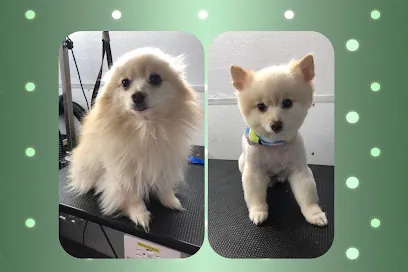 Groomobile Inc — photo from their website