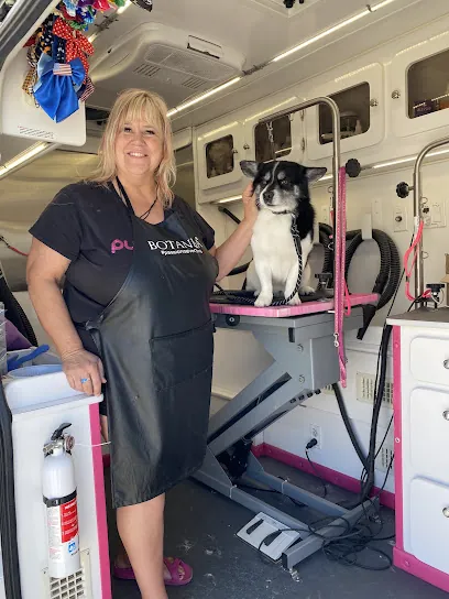 Puparazzi Mobile Pet Spaw — photo from their website