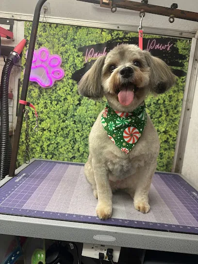 Park Your Paws Mobile Dog Grooming — photo from their website