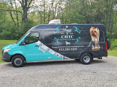 Shaggy to Chic Mobile Pet Spa — photo from their website