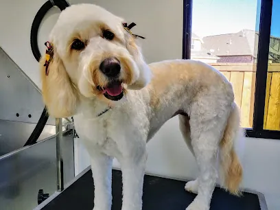 Dirty Dawgz Mobile Salon — photo from their website