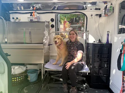 Muttor Vehicle Mobile Dog Grooming — photo from their website