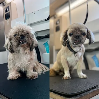 Opal Mobile Grooming — photo from their website