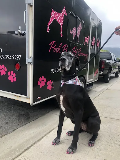 Posh Paws Pet Grooming - Mobile Salon — photo from their website