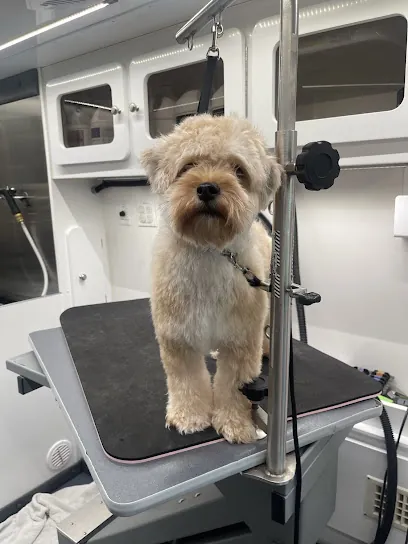 DapperTails Mobile Pet Grooming of Winter Park — photo from their website