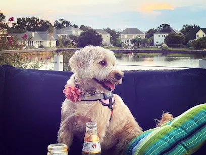 Folly Paws Mobile Pet Grooming — photo from their website
