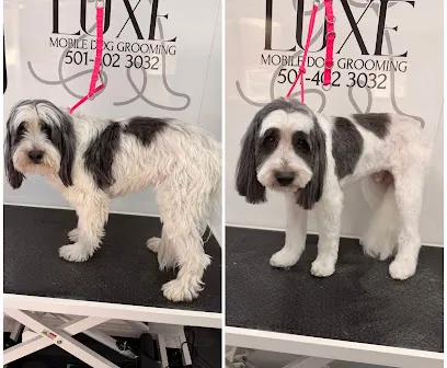 Luxe Mobile Dog Grooming — photo from their website
