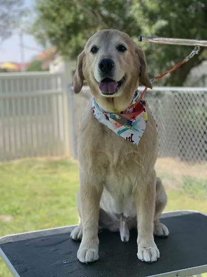 K & K Pet Grooming — photo from their website