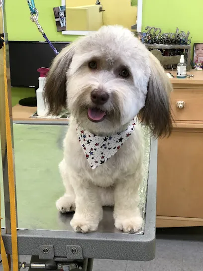 About The Fur MOBILE Grooming — photo from their website