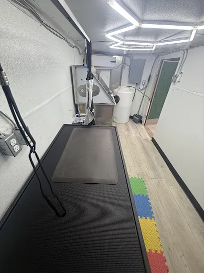 Zippin&Snippin Pawz Mobile Grooming — photo from their website