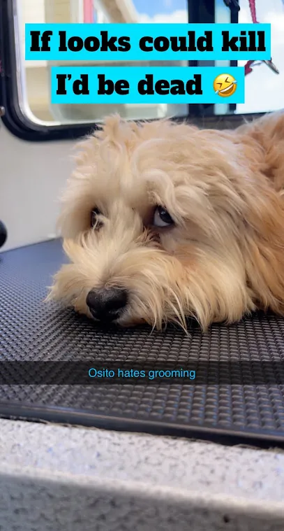 T's Mobile Pet Grooming — photo from their website