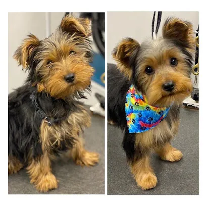 WanderDog Mobile Grooming — photo from their website