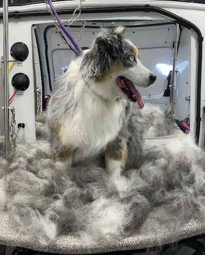 Cutie Pawtootie mobile grooming — photo from their website