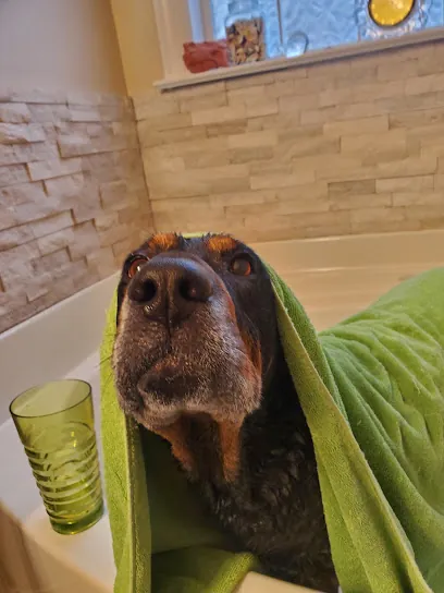 Zoomies Mobile Dog Service — photo from their website