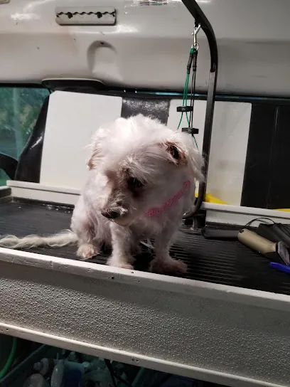 Four Paws Mobile Dog Grooming — photo from their website