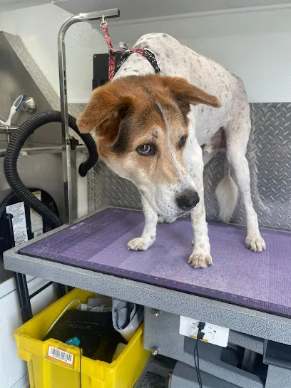 Mobile Pet Grooming Plantation — photo from their website