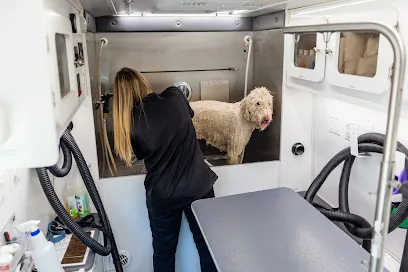 Mobile Pet Shine — photo from their website
