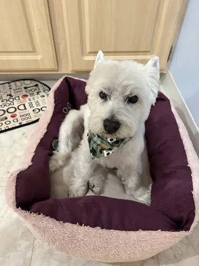 Mobile Paws ‘N Spa — photo from their website