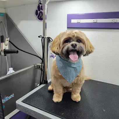 Pawfections Mobile Pet Spa — photo from their website