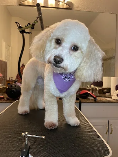 Comfort Pet Spa Mobile Grooming — photo from their website
