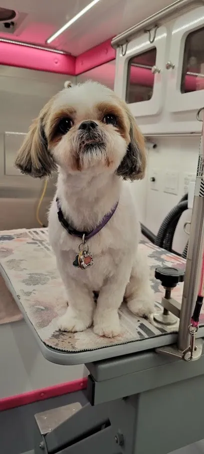 Pet Cutz Mobile Salon — photo from their website