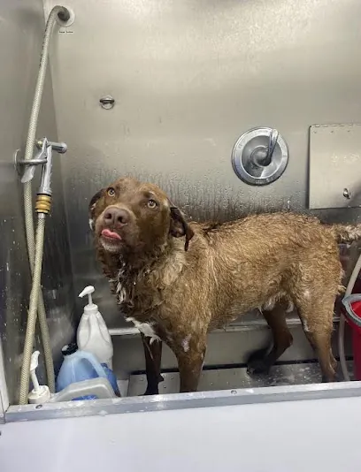 Pupper's Pawlor Mobile Grooming — photo from their website