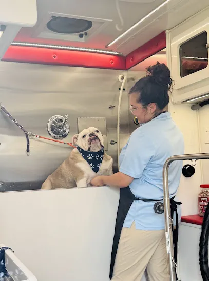 Hair Force Mobile Dog Grooming — photo from their website
